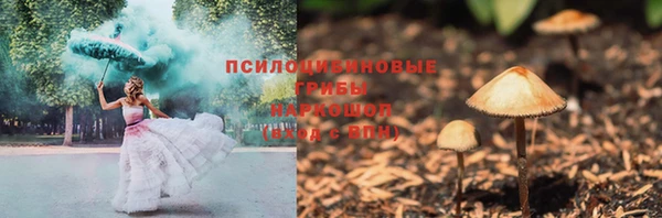 гидра Касимов