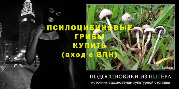 гидра Касимов