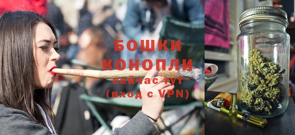 гидра Касимов