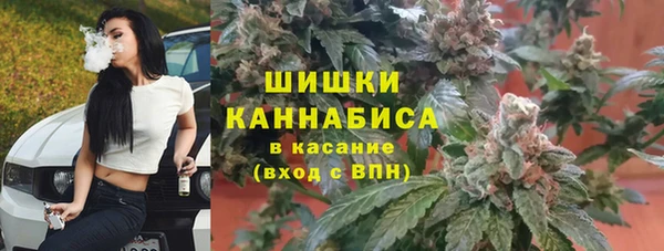 гидра Касимов