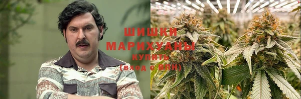 гидра Касимов